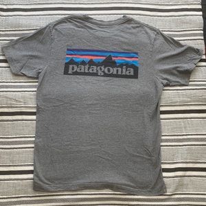 Patagonia unisex tee